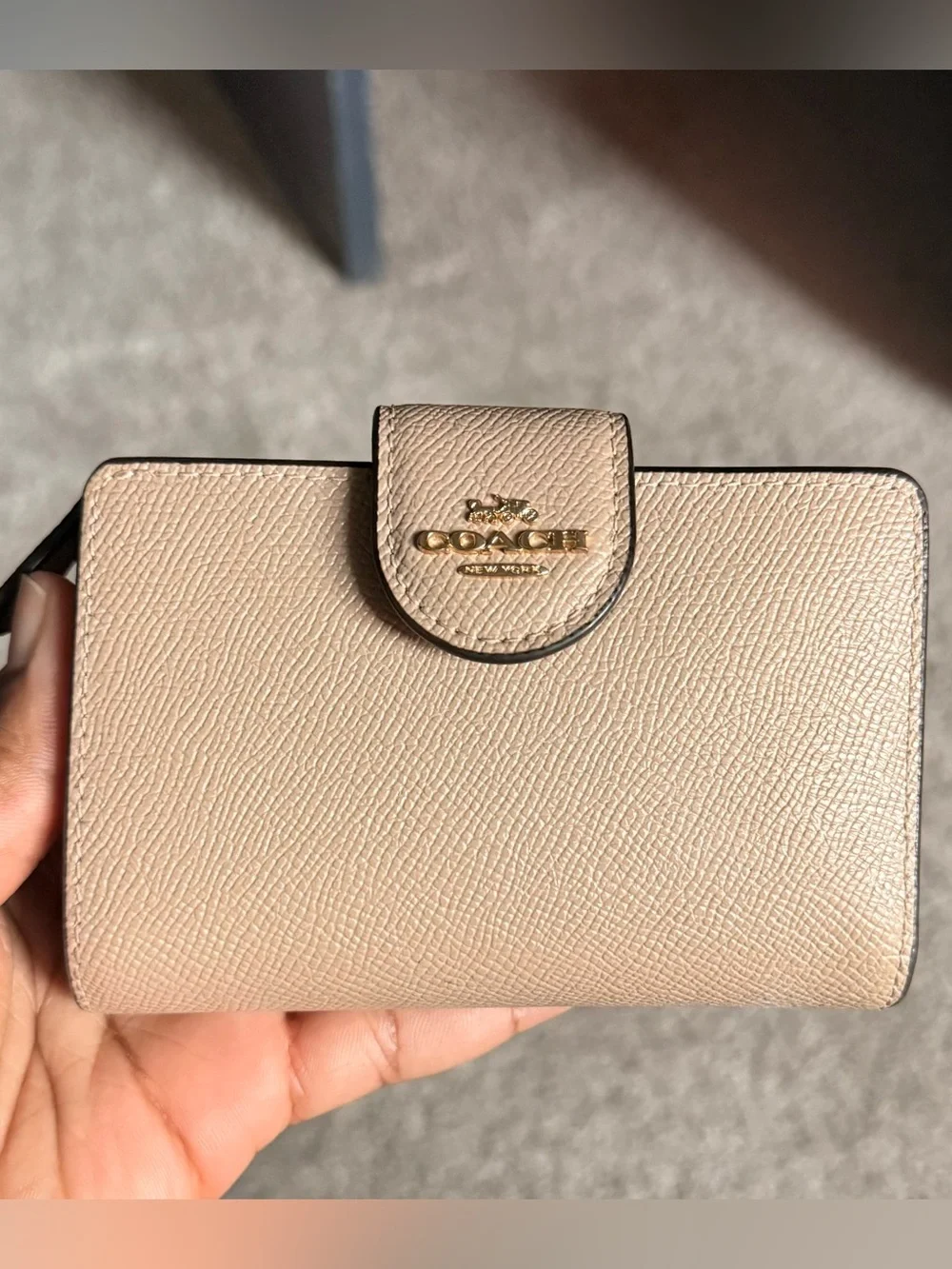 Coach Taupe/Beige Pebbled Leather Teri Hobo with Matching Wallet